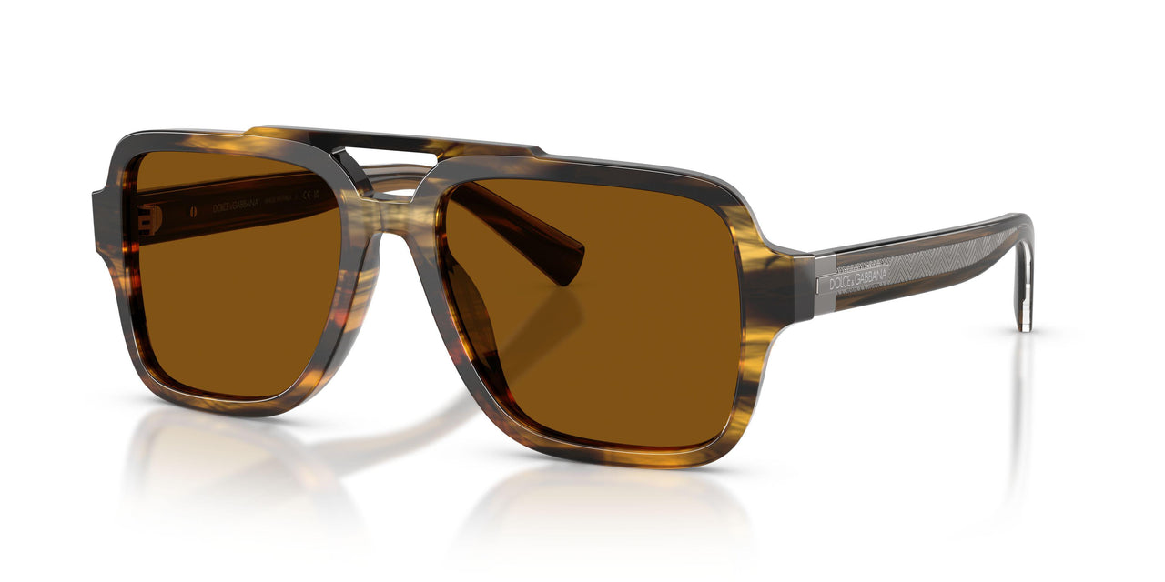 306363 - Tortoise - Brown