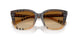 420213 - Brown - Brown Gradient