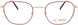 Flower FLR6042D Eyeglasses