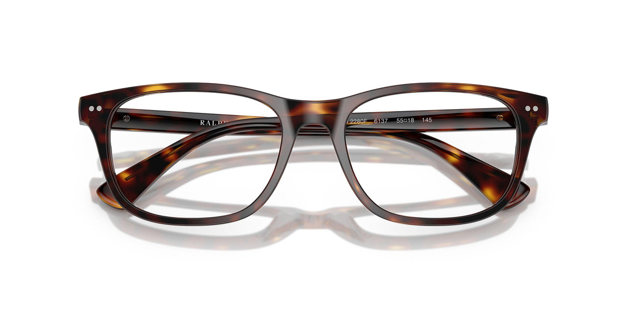 6137 - Tortoise