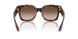 502613 - Tortoise - Gradient Brown