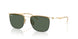 928471 - Gold - Dark Green