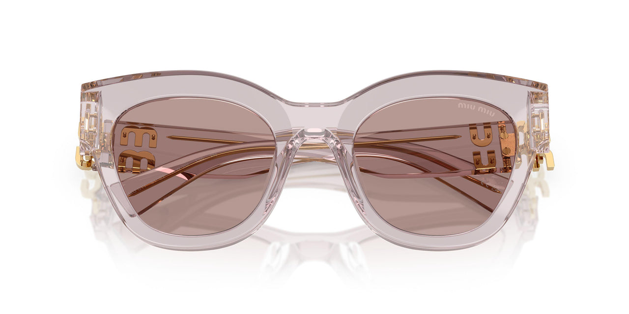 12W20I - Violet - Light Purple Brown