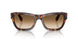 24/51 - Tortoise - Clear Gradient Brown