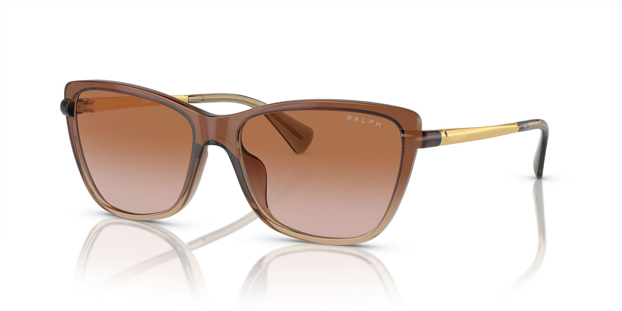 613313 - Brown - Gradient Brown