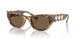 104073 - Tortoise - Dark Brown