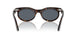902/R5 - Tortoise - Blue