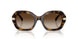 W65613 - Brown - Gradient Brown