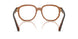3017 - Brown