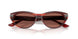 753/H2 - Tortoise - Brown