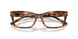 6089 - Tortoise