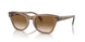 664051 - Light Brown - Clear Gradient Brown