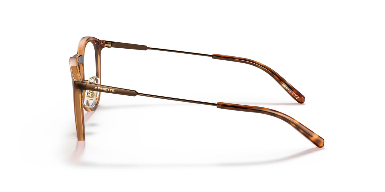 2675 - Brown - Transparent