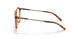 2675 - Brown - Transparent