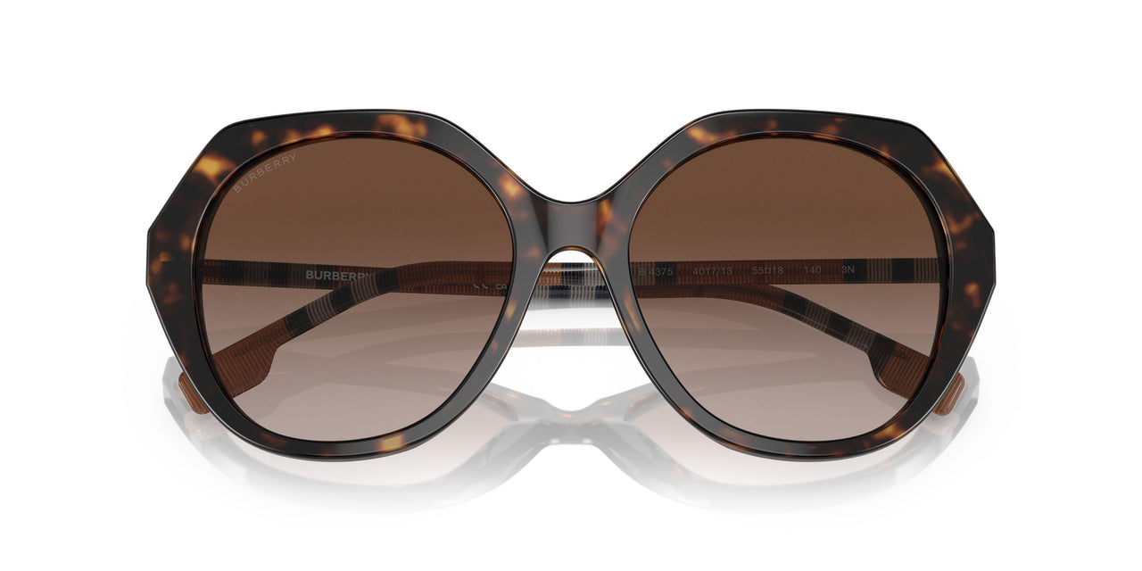 401713 - Havana - Brown Gradient