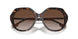 401713 - Havana - Brown Gradient