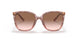 317513 - Pink - Brown Pink Gradient