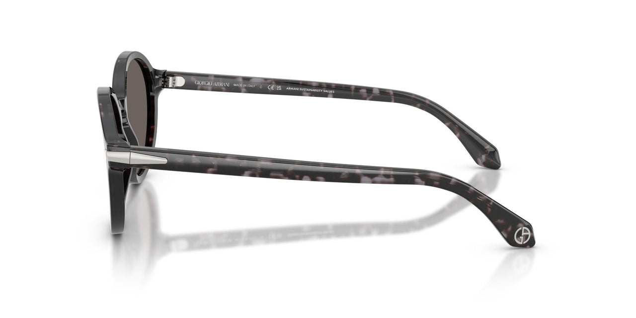 6236B1 - Tortoise - Dark Grey