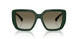 42038E - Green - Green Gradient