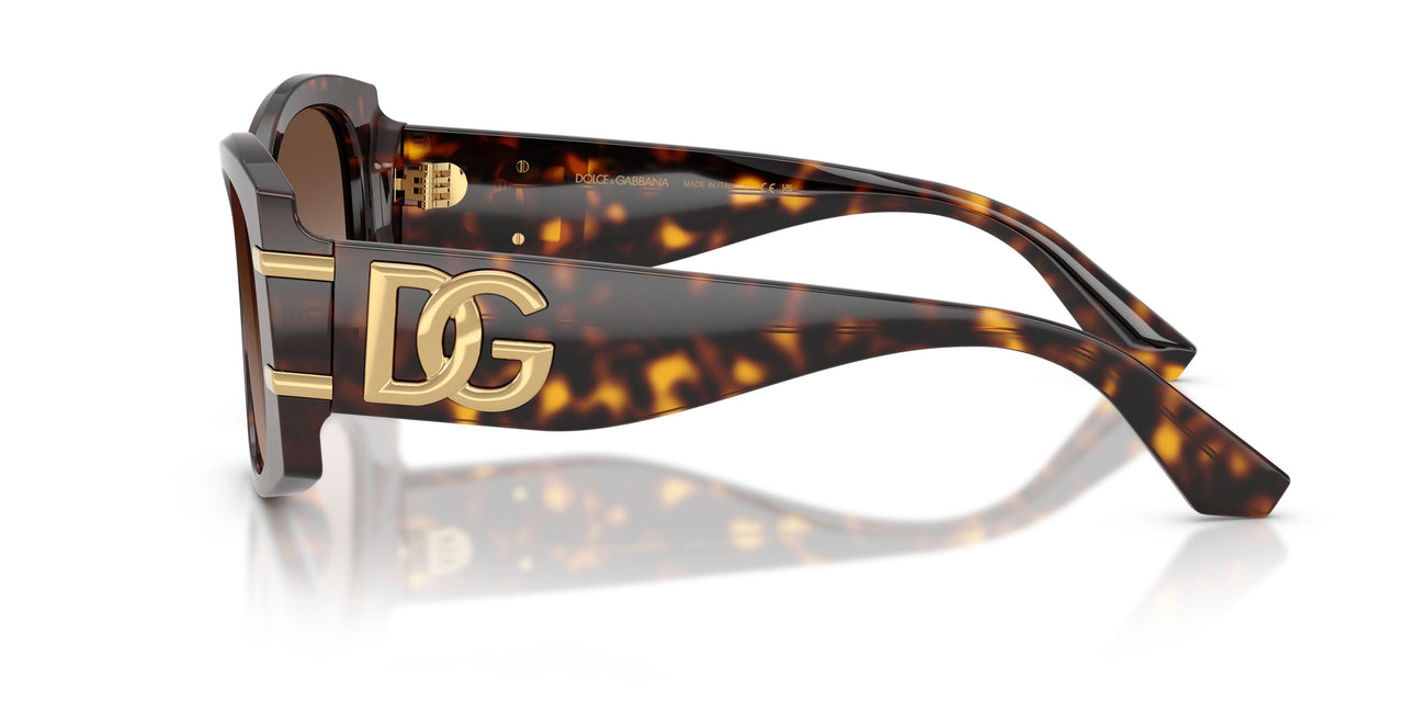 502/13 - Tortoise - Gradient Brown