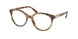Swarovski 2019F Eyeglasses
