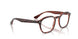 8488 - Tortoise - Clear