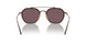 8016AF - Brown - Dark Violet Polar + Ar