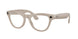 Ray-Ban Meta Skyler 4014 Sunglasses