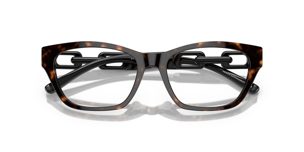 5026 - Tortoise