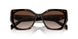 2AU6S1 - Havana - Brown Gradient