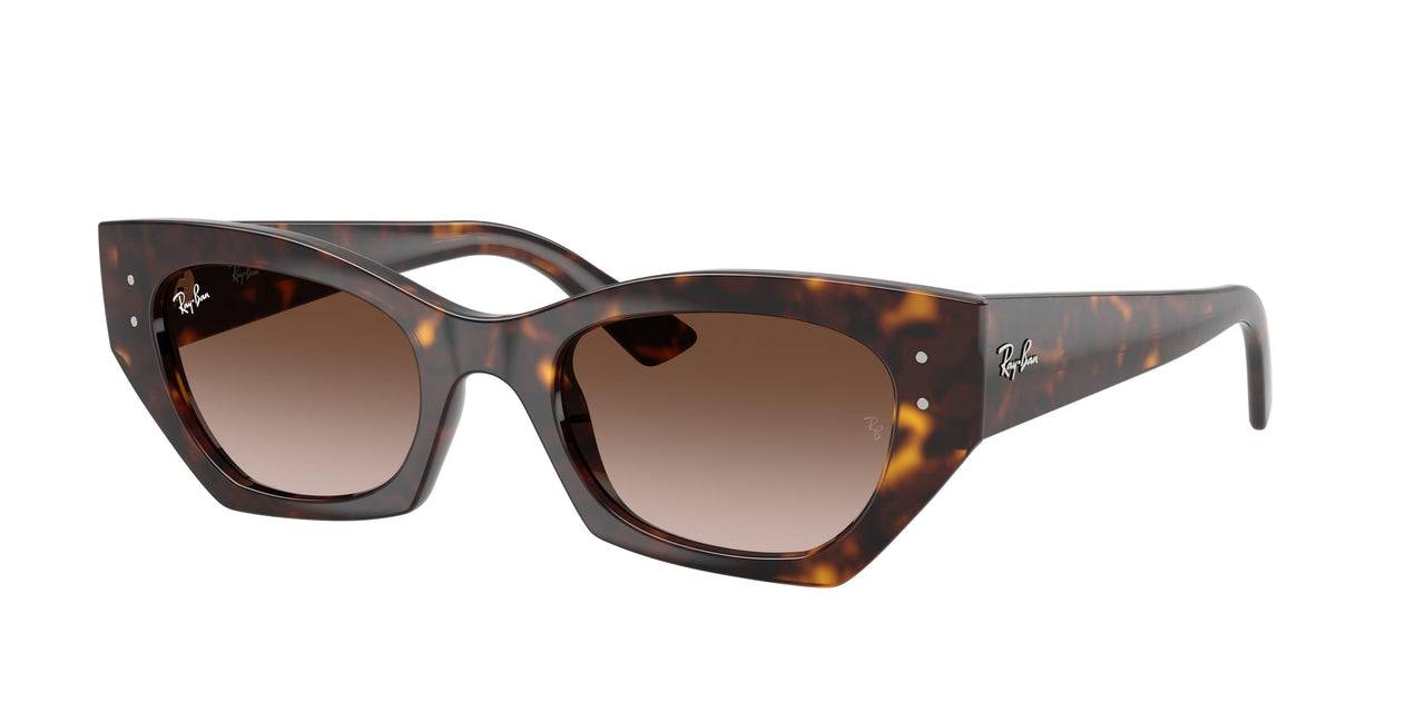 Ray-Ban Zena 4430 Sunglasses