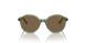 306773 - Transparent Dark Green - Dark Brown