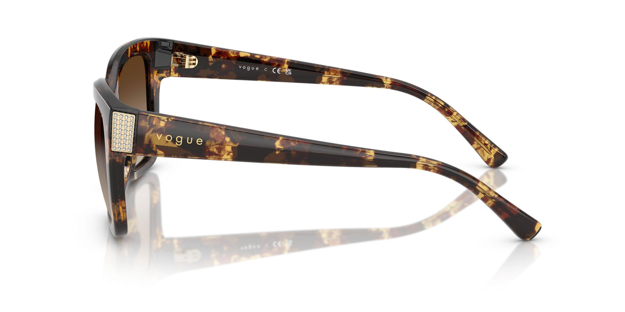317913 - Tortoise - Gradient Brown