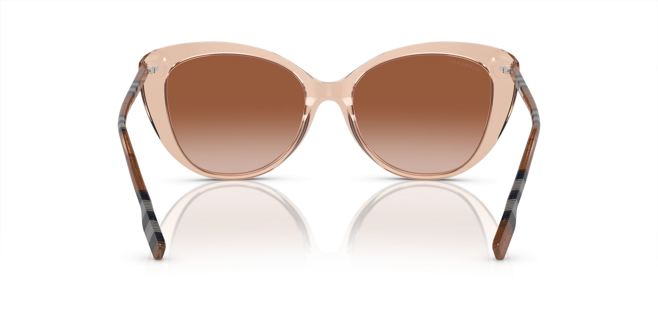 408813 - Pink - Brown Gradient