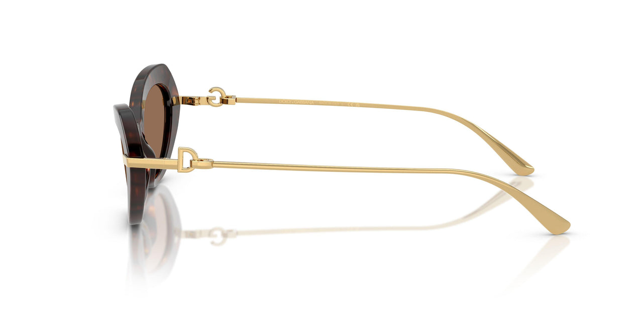 502/73 - Tortoise - Dark Brown