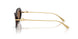 502/73 - Tortoise - Dark Brown