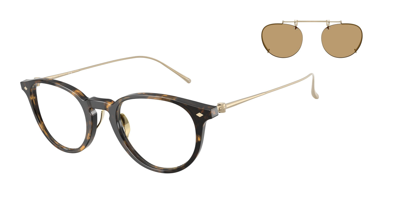 6207 - Tortoise