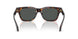 550987 - Tortoise - Dark Grey