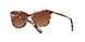 1463T5 - Havana - Brown Gradient Polarized
