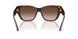 500213 - Tortoise - Gradient Brown