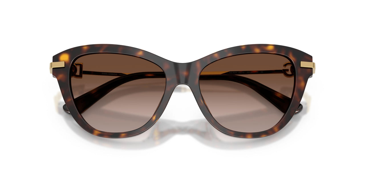 502/13 - Tortoise - Light Brown Gradient Dark Brow
