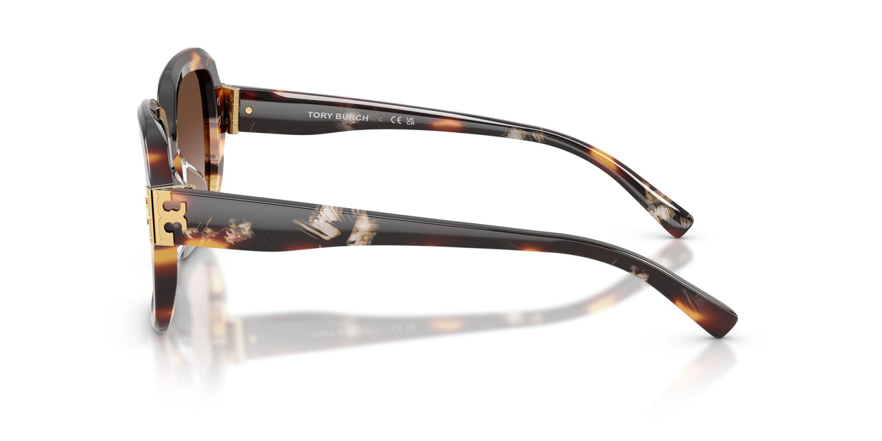 207213 - Tortoise - Brown Gradient