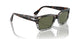 115958 - Brown - Green Polar