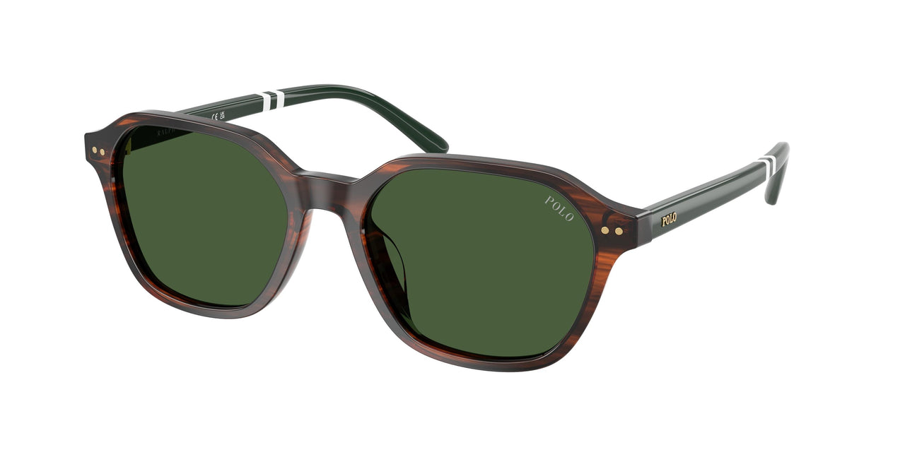Polo 4234U Sunglasses