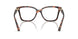 4031 - Tortoise