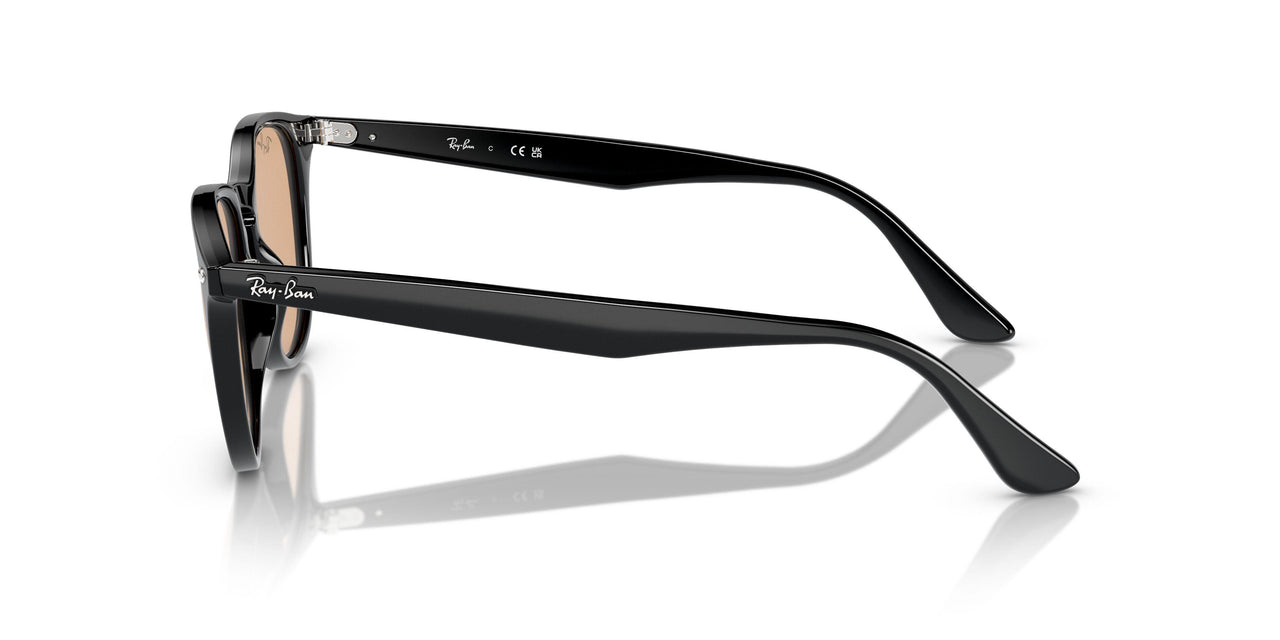 601/93 - Black - Brown