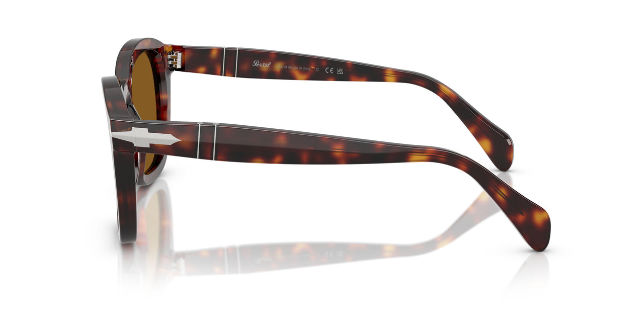 24/33 - Tortoise - Brown
