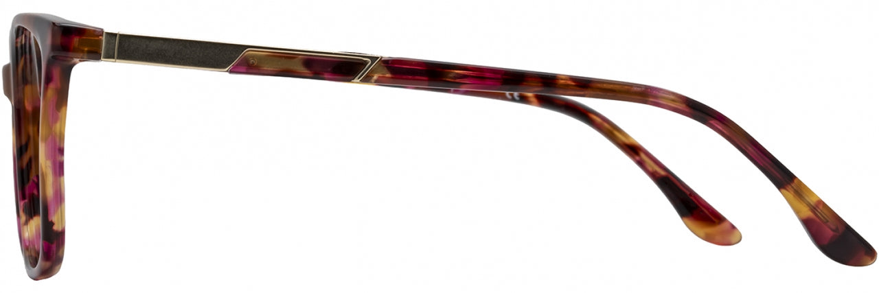 1 - Berry Tortoise / Gold