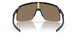 946313 - Grey - Prizm 24k