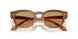 616373 - Tortoise - Brown